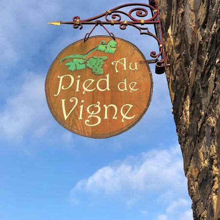 Appart Hotel Au Pied De Vigne Vresse-sur-Semois Ngoại thất bức ảnh
