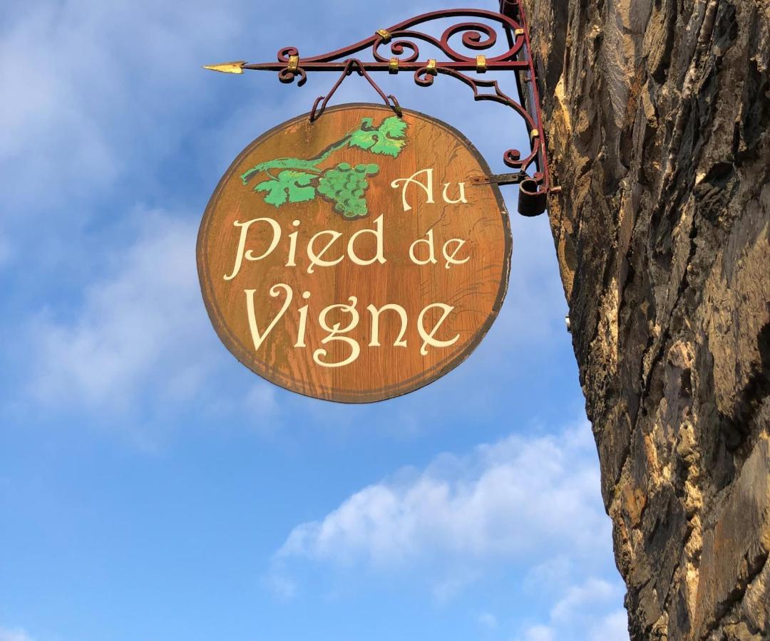 Appart Hotel Au Pied De Vigne Vresse-sur-Semois Ngoại thất bức ảnh